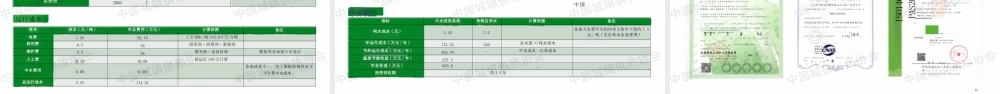 北京德安源 向文鉴：双碳目标下供热用中水源补给水技术路线及实践.PPT