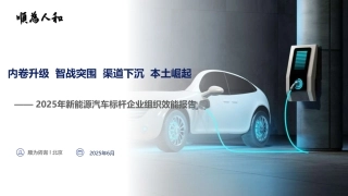 顺为人和：2025年新能源汽车行业标杆企业效能报告