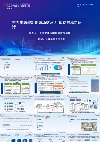 上海交通大学 蔡旭：主力电源型新能源场站及AI驱动的稳定运行