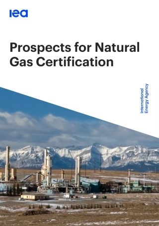 国际能源署IEA：天然气认证的前景（英文版）