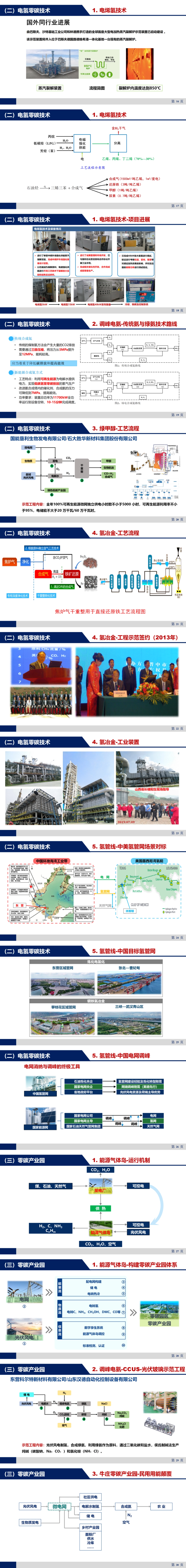 中国石油大学 周红军：中国碳中和过程中氢能产业发展路径判断与实践_第2页