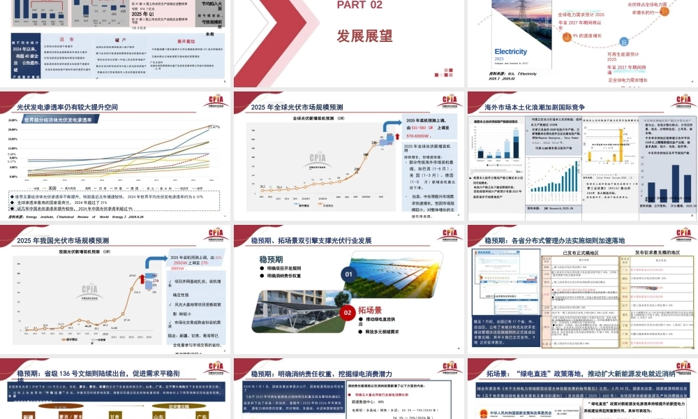 中国光伏行业协会 王勃华：2025年光伏行业上半年发展回顾与下半年形势展望