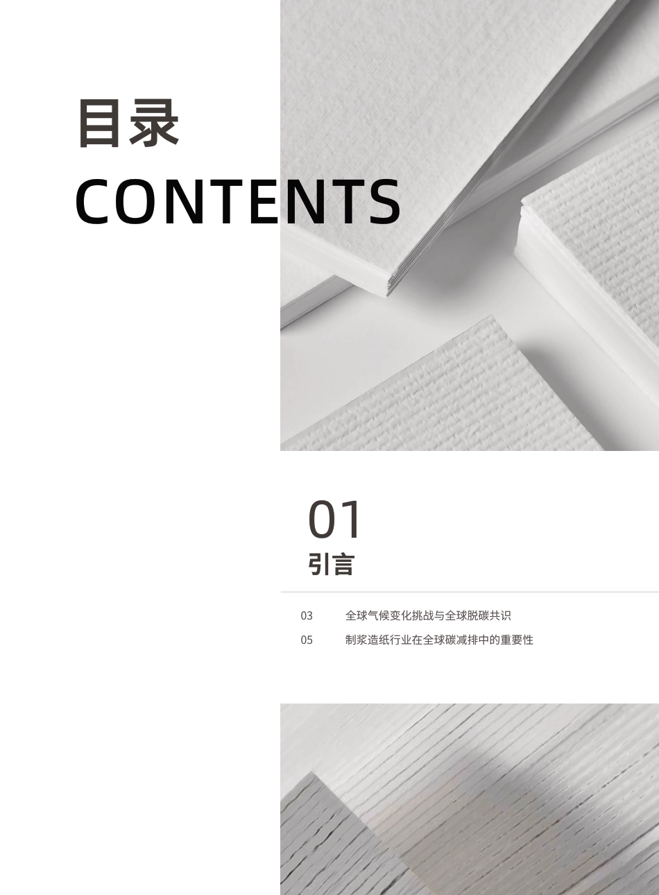 德勤：中国林浆纸业脱碳白皮书_第2页