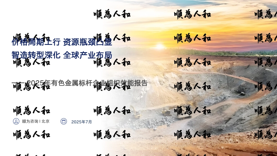 顺为咨询：2025年有色金属标杆企业组织效能报告_第1页