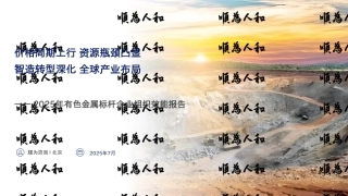 顺为咨询：2025年有色金属标杆企业组织效能报告