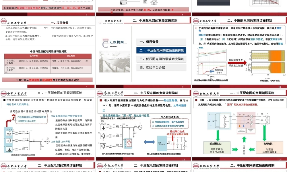 合肥工业大学 李飞：新能源发电对配电系统稳定性影响及其稳性提升策略