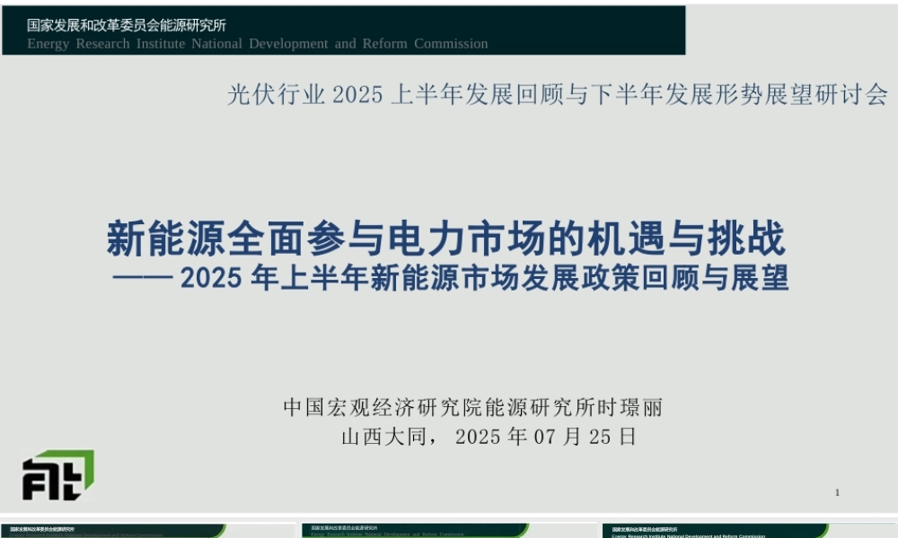 时璟丽：新能源全面入市的机遇与挑战