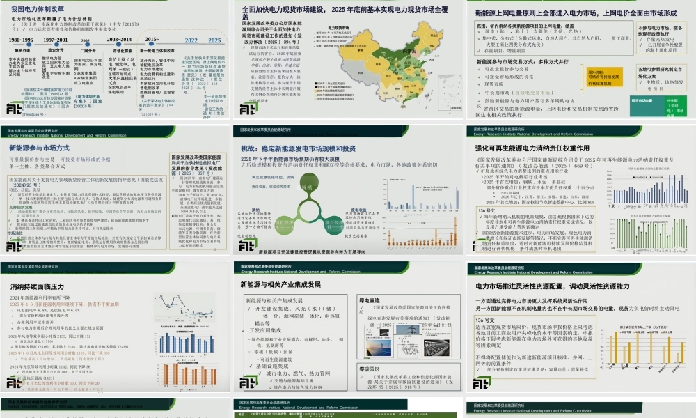 时璟丽：新能源全面入市的机遇与挑战
