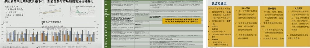 时璟丽：新能源全面入市的机遇与挑战