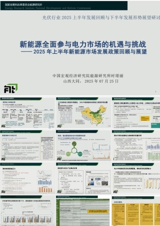 时璟丽：新能源全面入市的机遇与挑战