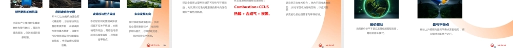 威立雅 周小华：双碳政策对垃圾焚烧行业的影响