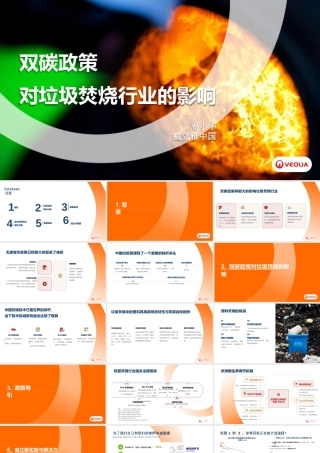 威立雅 周小华：双碳政策对垃圾焚烧行业的影响