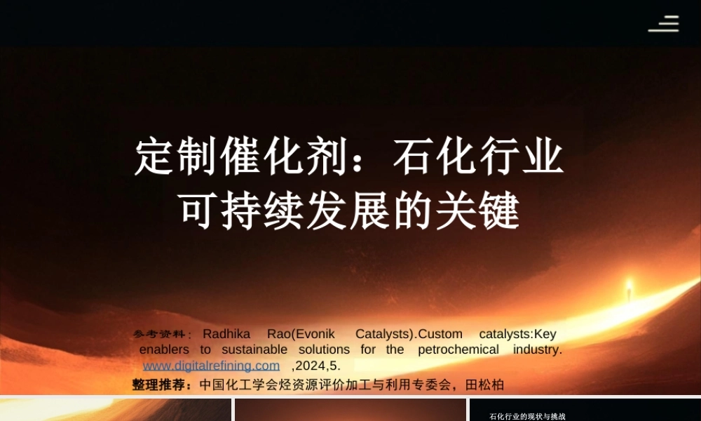 中国化工学会 田松柏：定制催化剂：石化行业可持续发展的关键
