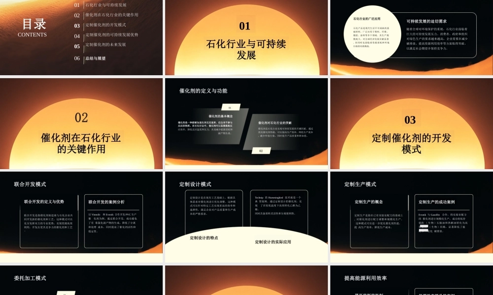 中国化工学会 田松柏：定制催化剂：石化行业可持续发展的关键