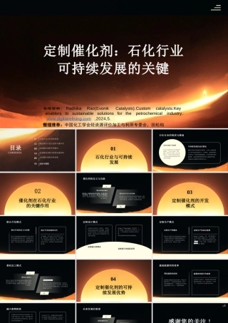 中国化工学会 田松柏：定制催化剂：石化行业可持续发展的关键