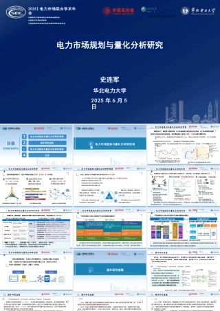 华北电力大学 史连军：2025年电力市场规划与量化分析研究报告