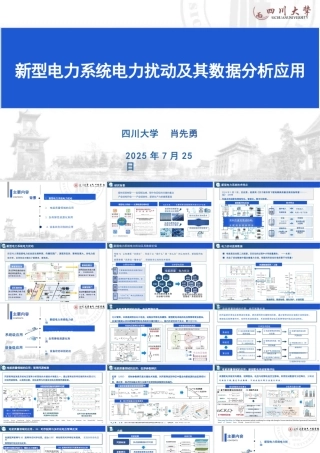 四川大学 肖先勇：新型电力系统电力扰动及其数据分析应用