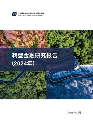 北京绿金院IFS：转型金融研究报告（2024年）