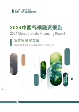 _中财大_绿金院IIGF：2024中国气候融资报告