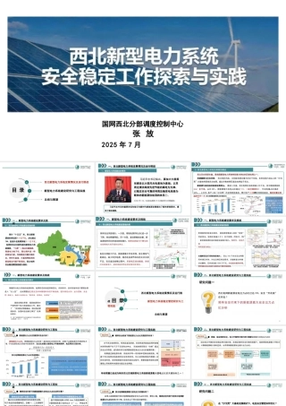 国网西北 张放：西北新型电力系统安全稳定工作的探索与实践