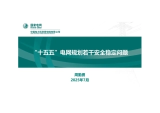 中电科 周勤勇：“十五五”电网规划若干安全稳定问题