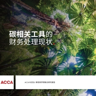 ACCA：碳相关工具的会计处理现状