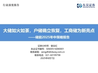 东吴证券：储能行业2025年中策略报告