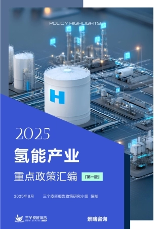 三个皮匠报告：2025氢能产业重点政策汇编（第一版）（875页）(1)