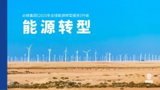必维集团：2025能源转型报告
