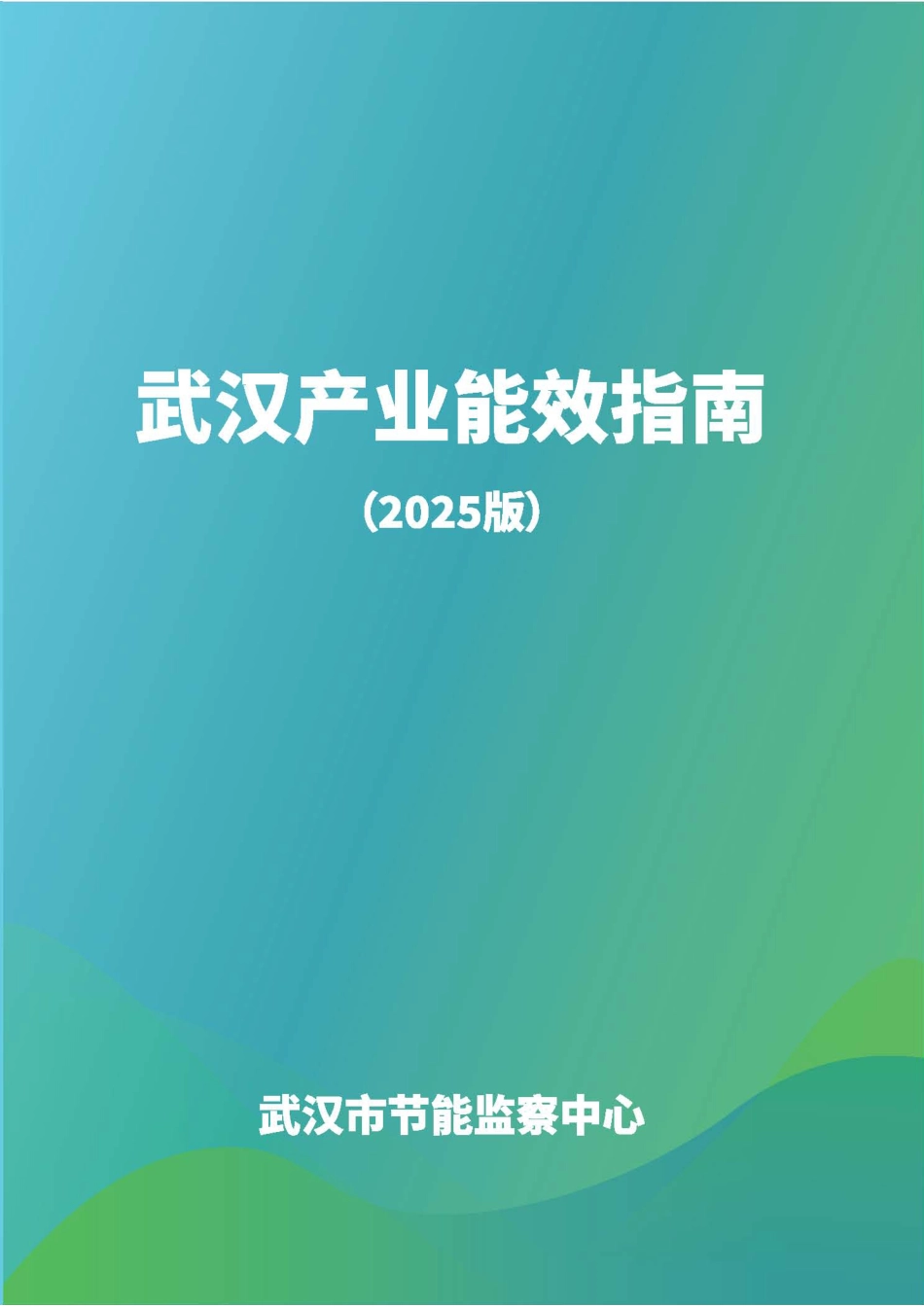 武汉市发改委：2025年武汉产业能效指南_第1页