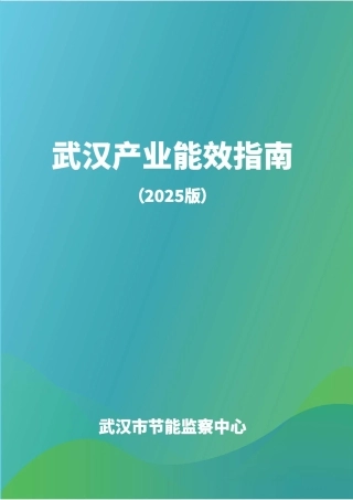 武汉市发改委：2025年武汉产业能效指南