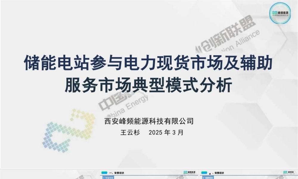 峰频能源 王云杉：储能电站参与电力现货市场及辅助服务市场典型模式分析