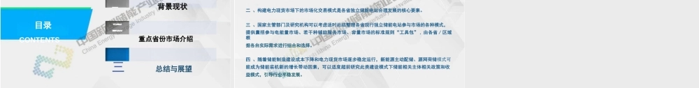 峰频能源 王云杉：储能电站参与电力现货市场及辅助服务市场典型模式分析