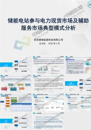 峰频能源 王云杉：储能电站参与电力现货市场及辅助服务市场典型模式分析