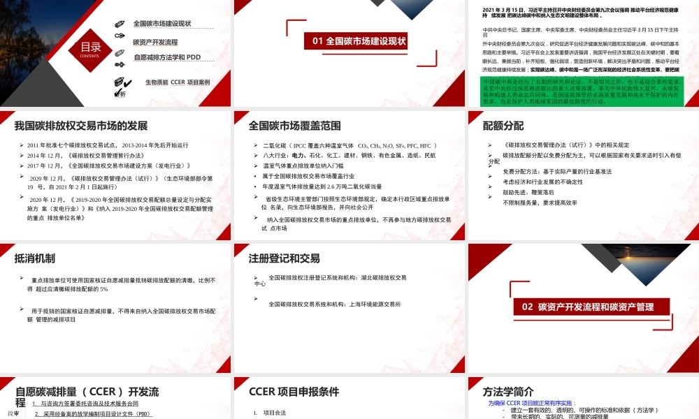 王卫权：生物质能项目碳资产开发与案例