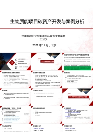 王卫权：生物质能项目碳资产开发与案例