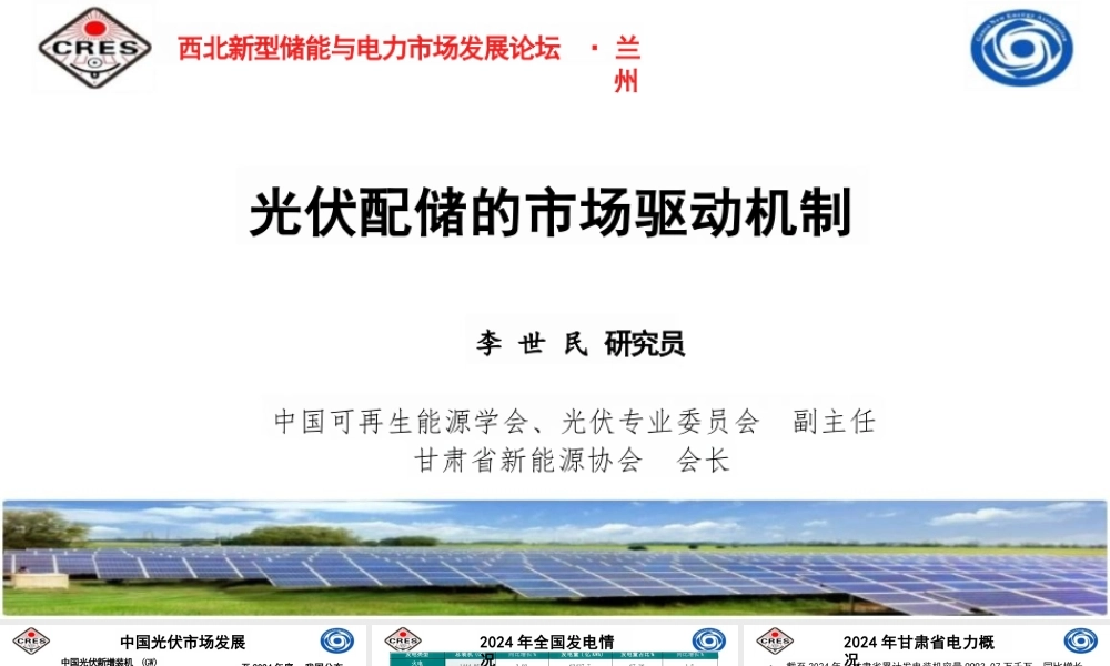中国可再生能源学会 李世民：光伏配储的市场驱动机制