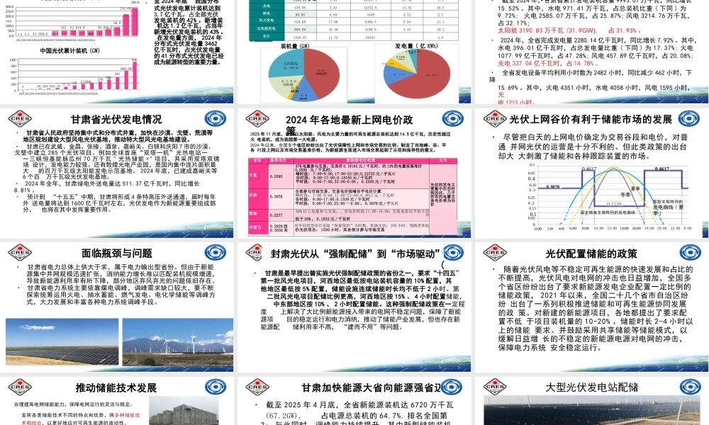 中国可再生能源学会 李世民：光伏配储的市场驱动机制