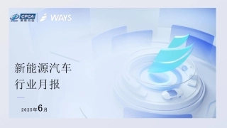 乘联分会：2025年6月新能源汽车行业月报