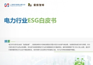 荣续智库：电力行业ESG白皮书