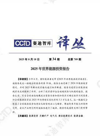 赛迪译丛第34期：2025年世界能源投资报告