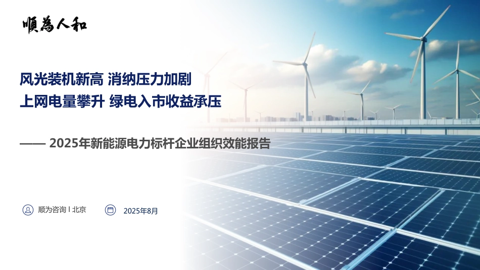 顺为咨询：新能源电力行业效能报告_第1页