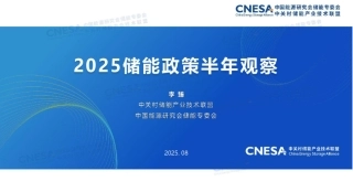 中关村储能产业技术联盟：2025储能政策半年观察