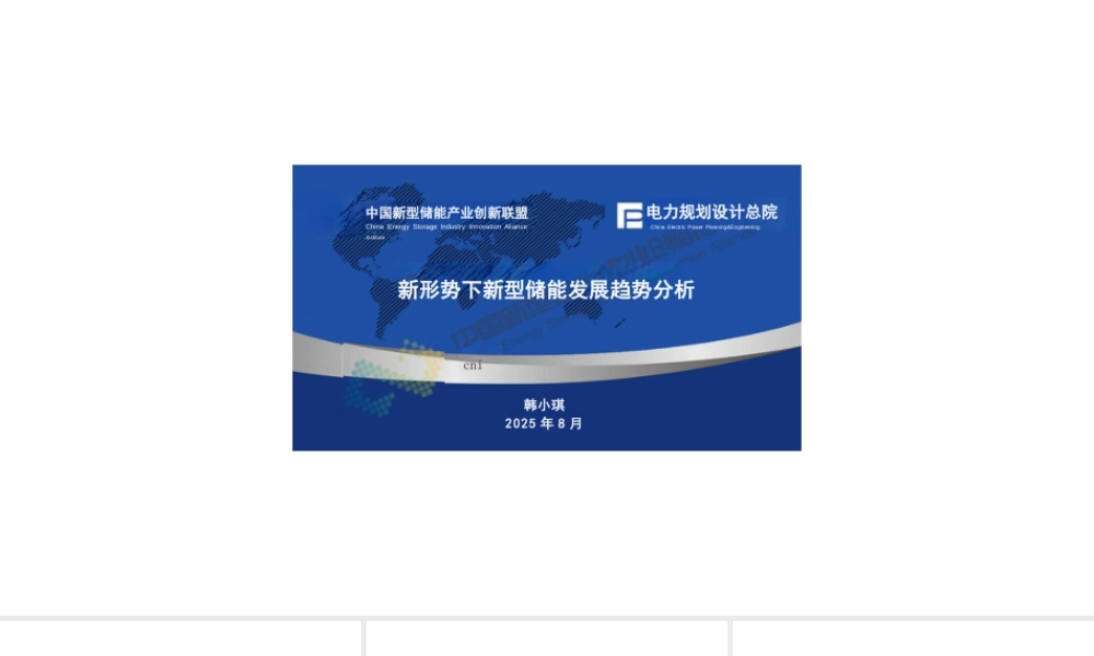 中国新型储能产业创新联盟 韩小琪：新形势下新型储能发展趋势分析