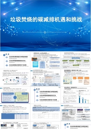 中碳创投 唐人虎：垃圾焚烧的碳减排机遇和挑战