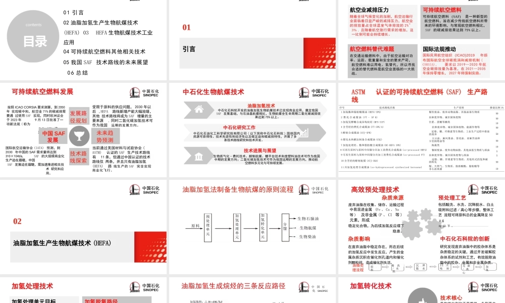 中国化工学会 田松柏：可持续航空燃料生产路线与展望