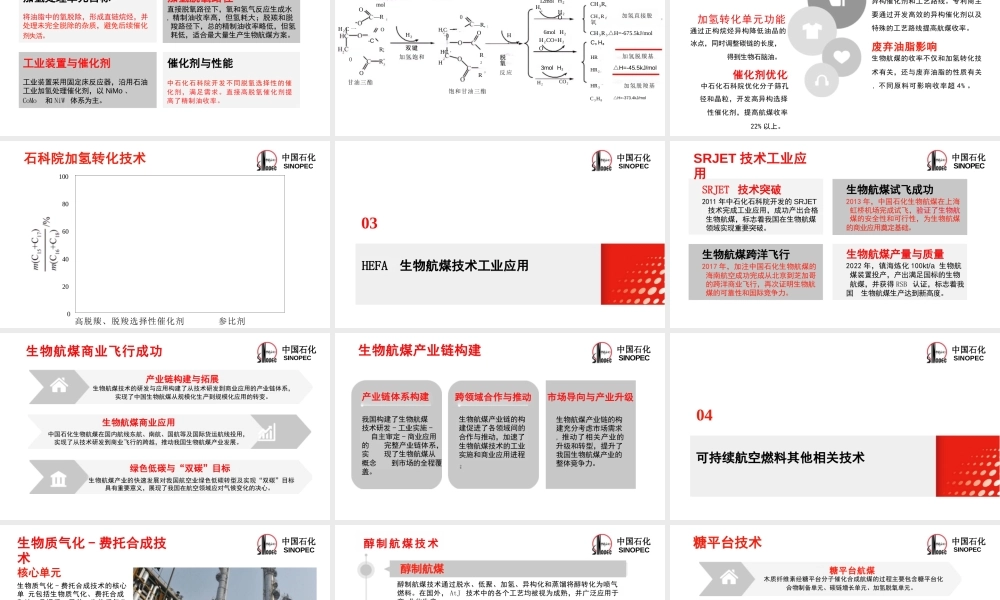 中国化工学会 田松柏：可持续航空燃料生产路线与展望