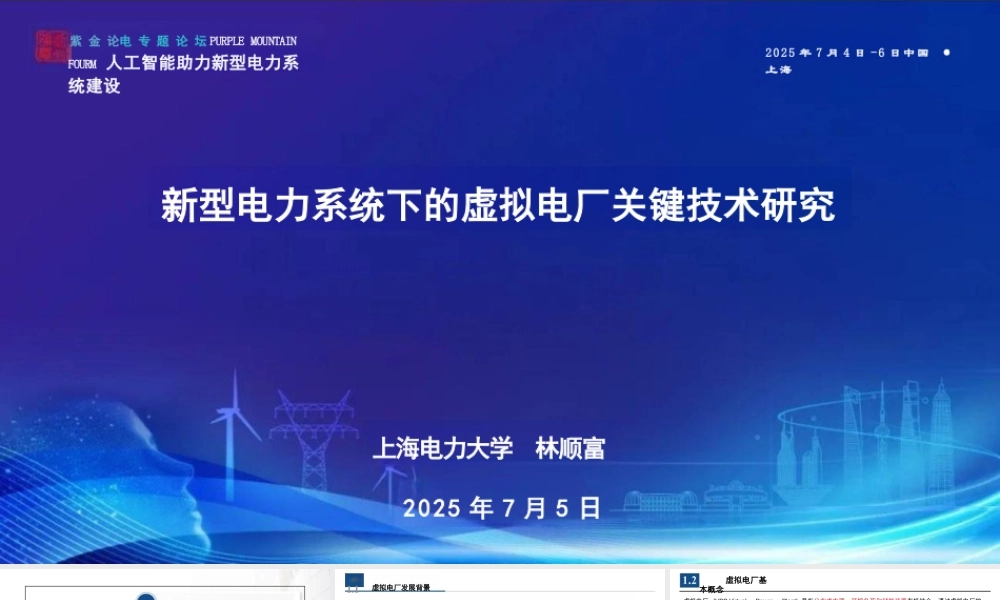上海电力大学 林顺富：新型电力系统下的虚拟电厂关键技术研究