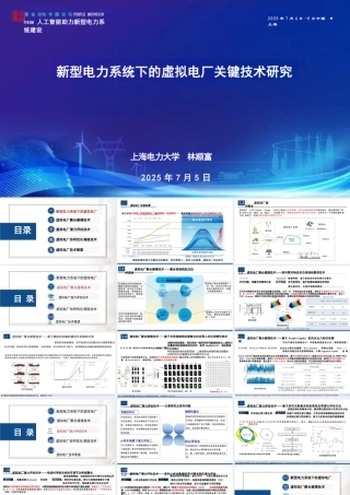 上海电力大学 林顺富：新型电力系统下的虚拟电厂关键技术研究