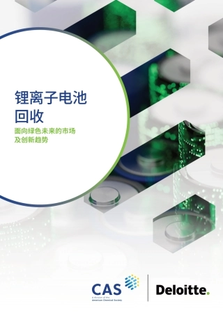 德勤＆CAS：锂离子电池回收行业报告-面向绿色未来的市场及创新趋势